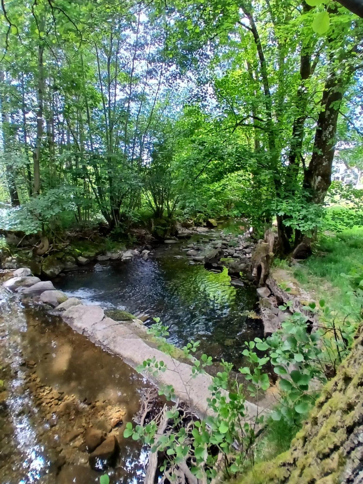 Gite De L'Ours Saint-Maurice-sur-Moselle Extérieur photo