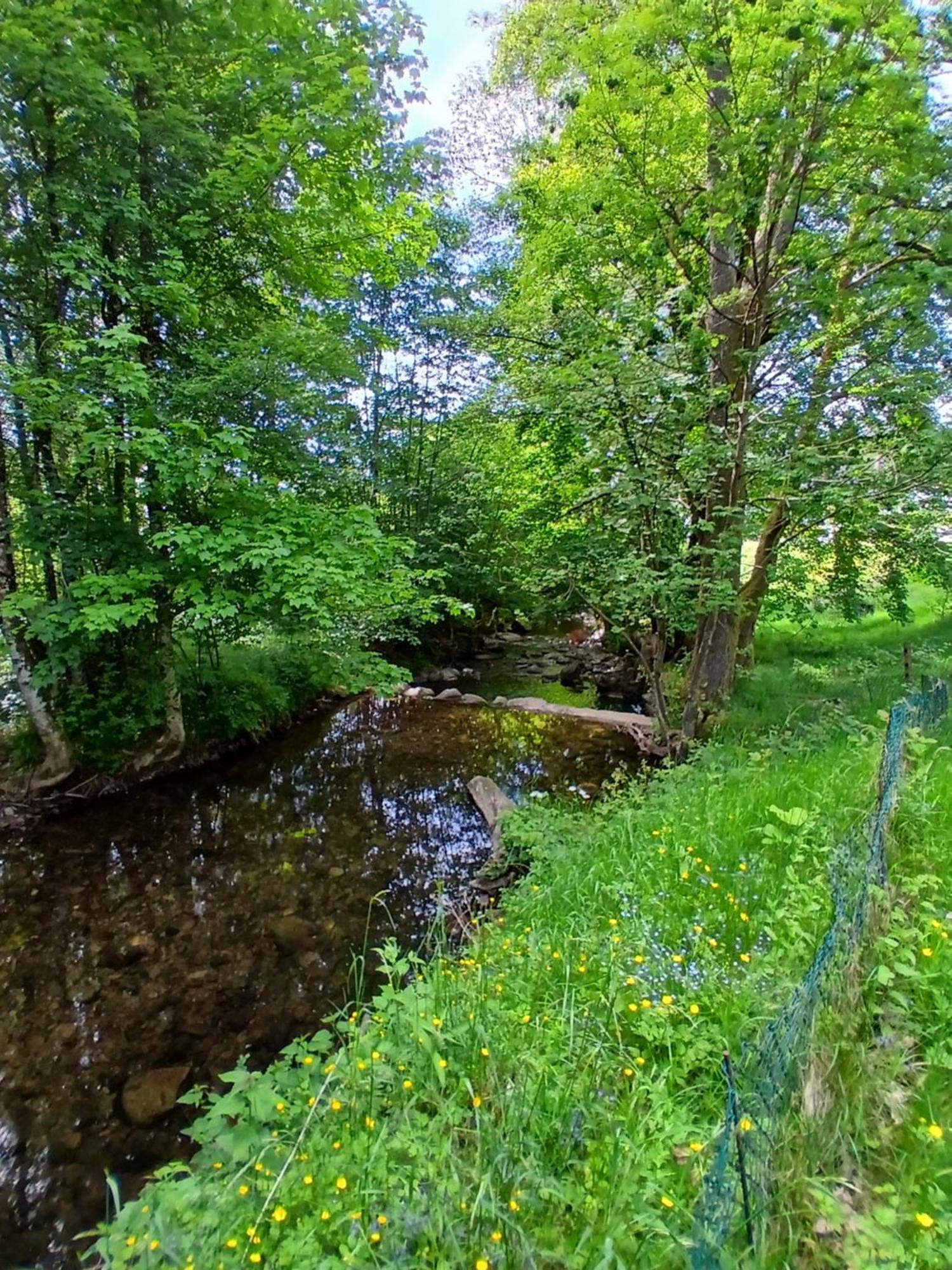 Gite De L'Ours Saint-Maurice-sur-Moselle Extérieur photo